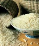 برداشت برنج ۷۰ درصد از شالیزار های رودسر