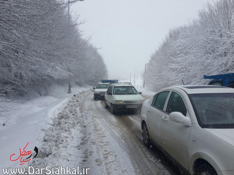 بارش برف بهاری در دیلمان مسافرهای نوروزی را غافلگیر کرد + گزارش تصویری