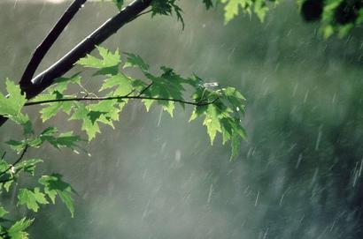بارندگی هوا و وزش باد شدید در گیلان