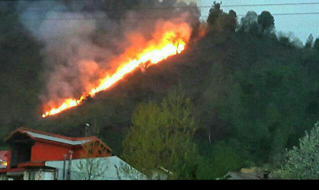 آتش سوزی در جنگل های قلعه رودخان