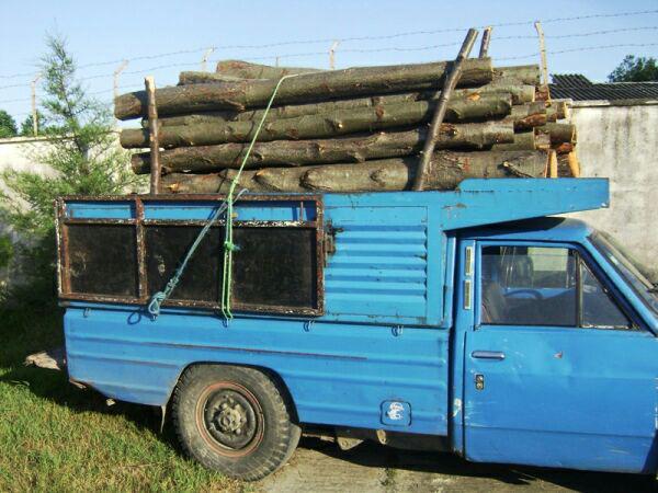 کشف بیش از ۴ تن مصنوعات چوبی قاچاق  در آستارا