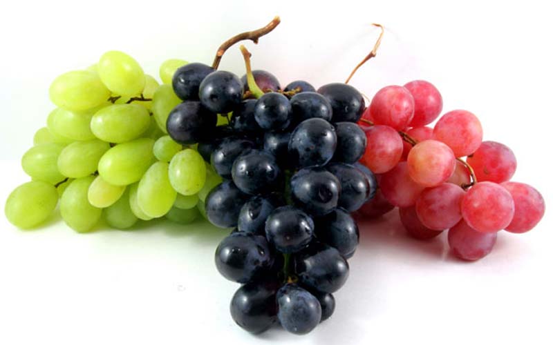 میوه تازه مصرف کنیم یا میوه خشک؟