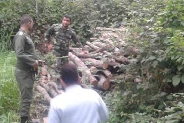 ۲۸۰ اصله انواع چوب جنگلی قاچاق در لاهیجان کشف و ضبط شد