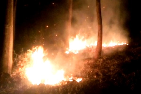 آتش سوزی در ۴۰ هکتار از جنگل های منطقه خرفکل شفت