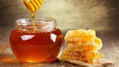 پیش بینی افزایش ۱۰ درصدی تولید عسل در گیلان طی سال جاری