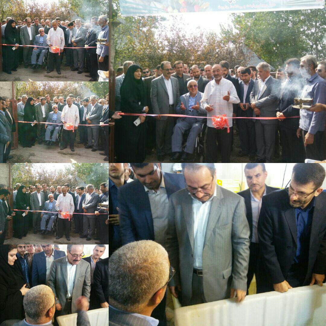 افتتاح مرکز پرورش ماهیان زینتی در بخش کوچصفهان / عکس