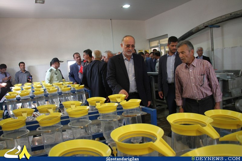 افتتاح بزرگترین مرکز تکثیر پرورش ماهیان خاویاری در تالش / تصاویر