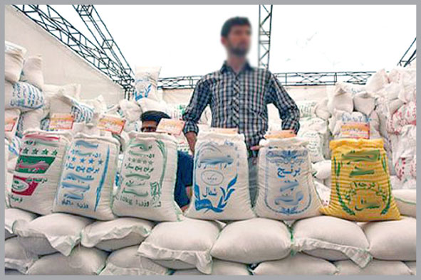 ایجاد هرج‌ومرج در بازار برنج با فقدان مهر استاندارد بر روی آن/ سازمان استاندارد مهر تائید بر برنج‌های ایرانی بزند