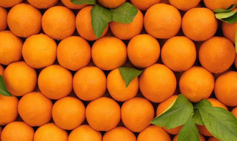 دوباره پرتقال‌های رنگ‌ شده آمد!