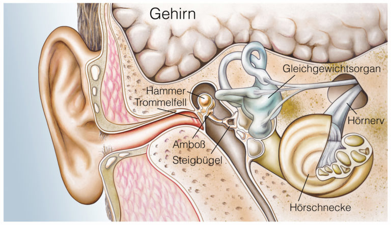 علل وزوز گوش چیست؟ چگونه می توان صدای گوش را درمان کرد ؟