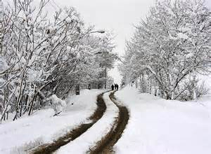 بارش اولین برف پاییزی در رحیم آباد رودسر/ آماده باش نیروها با دستور ویژه فرماندار