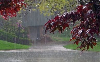کاهش ۲۰ درصدی بارش‌ها نسبت به سال گذشته
