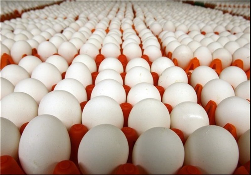 واردات ده‌ها تُن تخم مرغ به کشور