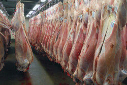 اعلام قیمت گوشت گوسفند و گوساله در بازارهای میوه و تره‌بار
