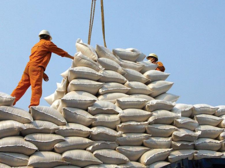 ادامه واردات لاک‌پشتی برنج در فصل ممنوعیت