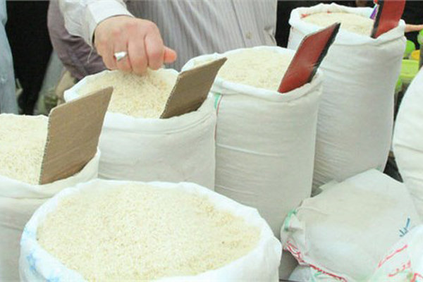  تعاونی‌های روستایی گیلان، برنج پرمحصول کشاورزان را خریداری می‌کنند