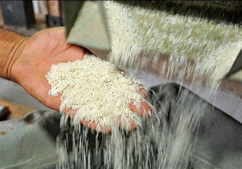کشور از واردات برنج بی‌نیاز می‌شود