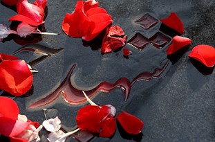 ۵۳ شهید گمنام در ۳۰ دانشگاه کشور تشییع و تدفین می‌شوند
