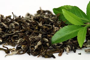 معافیت واردات چای از پرداخت عوارض در تضاد با اقتصاد مقاومتی است/ مساله واردات چای باید مدیریت شود
