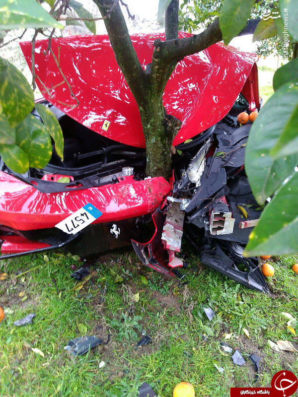 تصادف شدید فراری گرانقیمت با درخت پرتقال!+ عکس