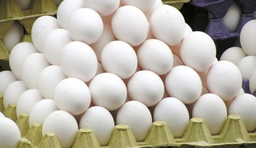 کاهش قیمت تخم‌مرغ از خرداد