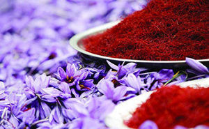 بازار زعفران در رکود به سر می‌برد/ حداکثر قیمت هر کیلو طلای سرخ ۱۳ میلیون تومان