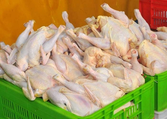 قیمت مرغ از ١١ هزار تومان گذشت