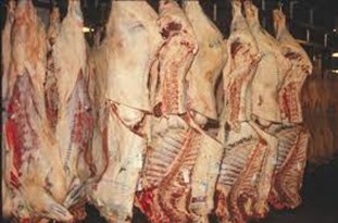 عرضه ۳۵ تا ۴۰ هزارتومانی قیمت هر کیلوگرم گوشت گاو گوساله در بازار نوروزی رشت/ قیمت گوشت در بازار شب نوسان ندارد