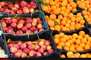 آغاز توزیع ۱۳۰ تن سیب و پرتقال شب عید از پنجشنبه در گیلان