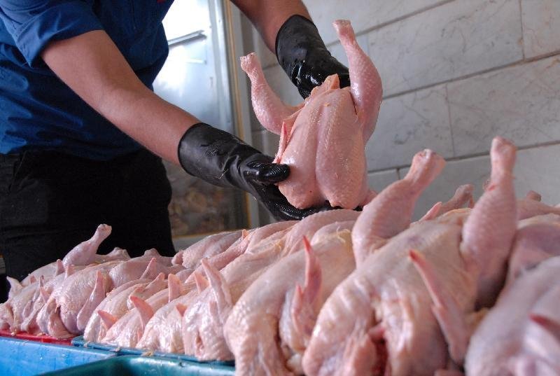 برخورد با بازاریان عرضه مرغ با قیمت بیش از ۸ هزار تومان
