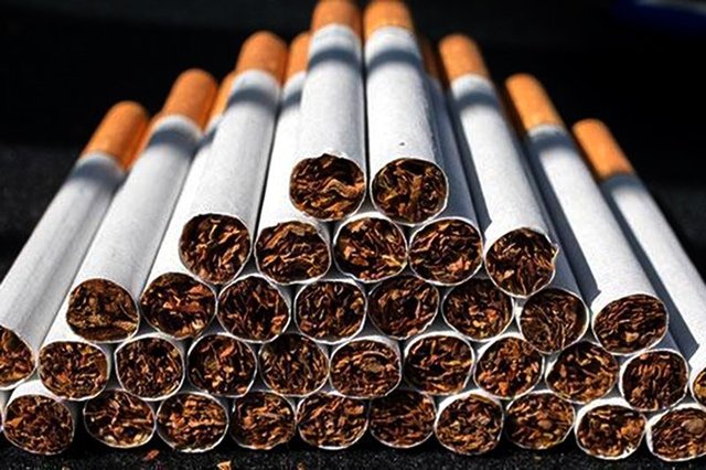 ۴۸۰۰ نخ سیگار قاچاق در لوشان کشف شد