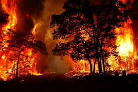 ادامه آتش سوزی جنگل های سوستان پایین/ آتش در برخی روستاهای لاهیجان مهار شد