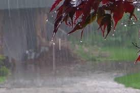 بارندگی، وزش باد و احتمال صاعقه در گیلان