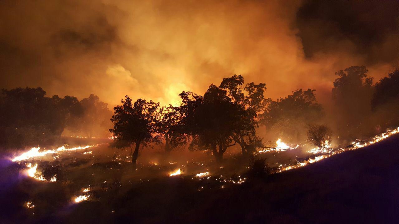 علت بروز آتش سوزی های اخیر جنگل های گیلان، عامل انسانی بود