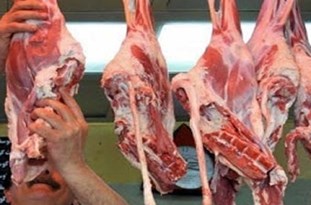 انجام ۱۸۵ مورد بازرسی نوروزی از عرضه‌کنندگان گوشت / هفت متخلف در آستارا تعزیراتی شدند