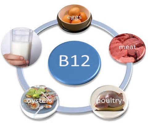 چرا به منابع غذایی حاوی B۱۲ نیاز داریم؟