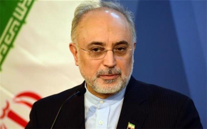صالحی پیشنهادهای دریافتی از اتحادیه اروپا برای انتظارات ایران درباره برجام را کافی ندانست