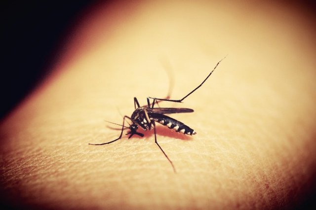 کمک ۴ میلیون دلاری بیل گیتس به ریشه‌کن کردن مالاریا