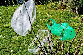 سازمان حفاظت محیط زیست باید برای مدیریت مصرف پلاستیک در کشور لایحه تدوین کند