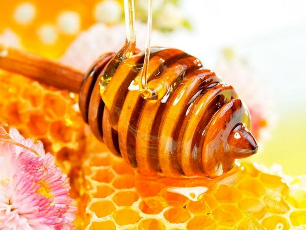 تولید حدود ۶ هزار تن عسل درگیلان