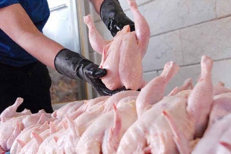 توزیع مرغ منجمد برای تنظیم بازار در آستارا آغاز شد