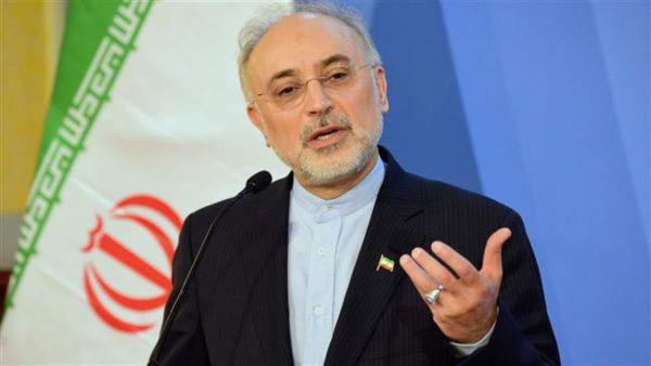 صالحی: فتوای رهبر معظم انقلاب در حرام بودن بمب اتم حرف نهایی ایران است