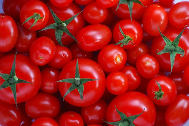 رئیس اتحادیه بارفروشان: قیمت ۲۵۰۰ تومانی گوجه فرنگی صحت ندارد