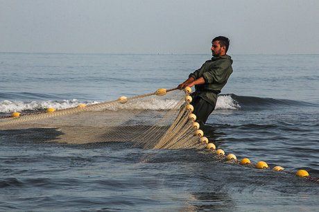 فصل صید ماهیان استخوانی از دریای خزر آغاز شد