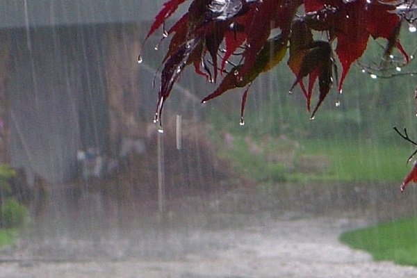 بارندگی و وزش باد در گیلان از فردا آغاز می شود