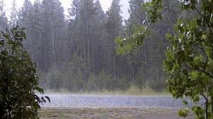 میزان بارش باران در گیلان به ۱۸۰ میلی‌متر رسید