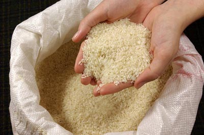 ایران تا ۳ سال دیگر در تولید برنج به خودکفایی می‌رسد