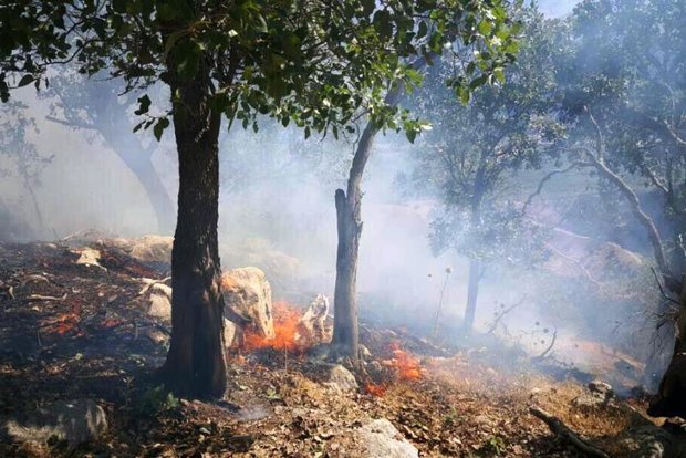 شهروندان از افروختن آتش در عرصه‌های جنگلی گیلان خودداری کنند