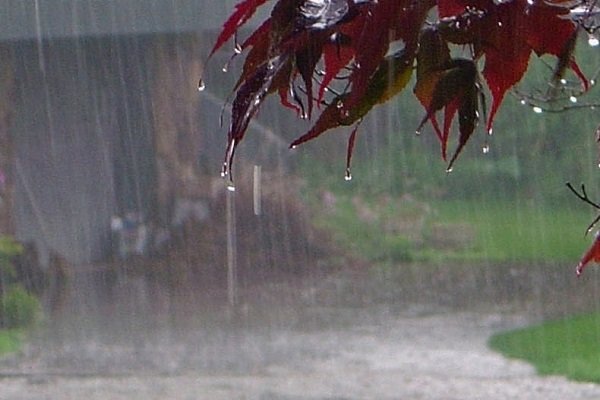 بیشترین میزان بارش باران گیلان، در ماسوله ثبت شده است