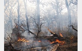 هشدار نسبت به بروز آتش‌سوزی در جنگل‌های گیلان
